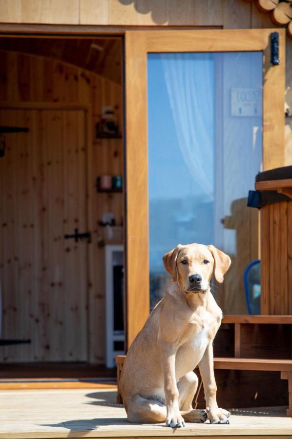 Willa Barnhorn Glamping Hooe Zewnętrze zdjęcie